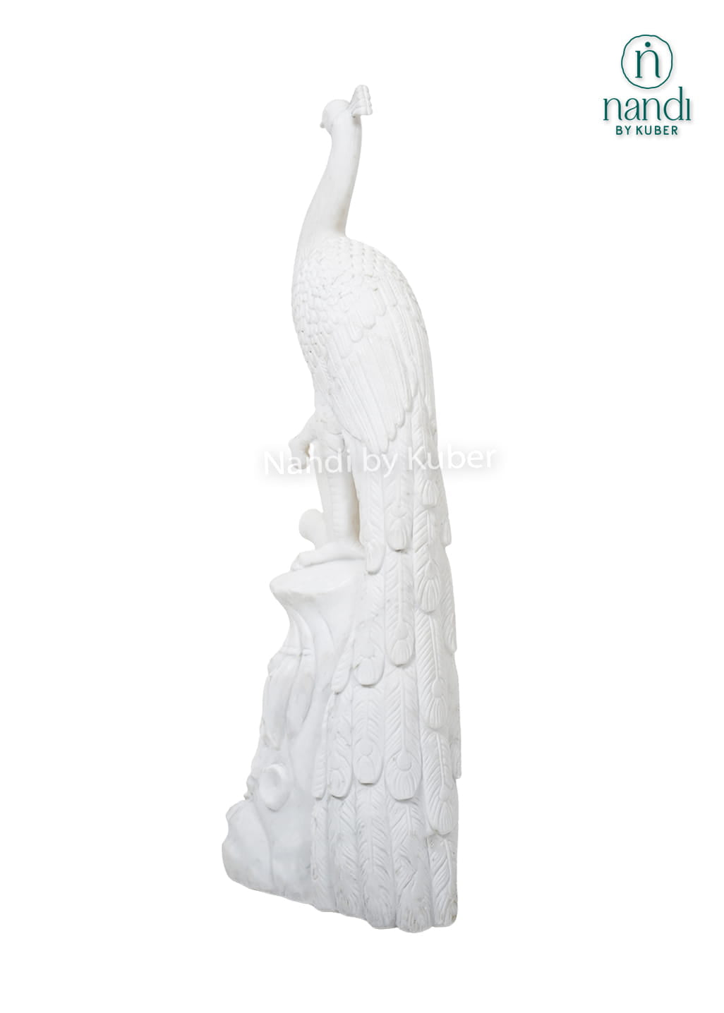 Marble Peacock