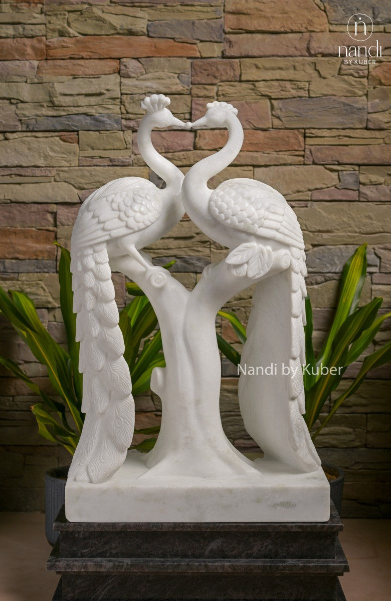 Marble Peacock