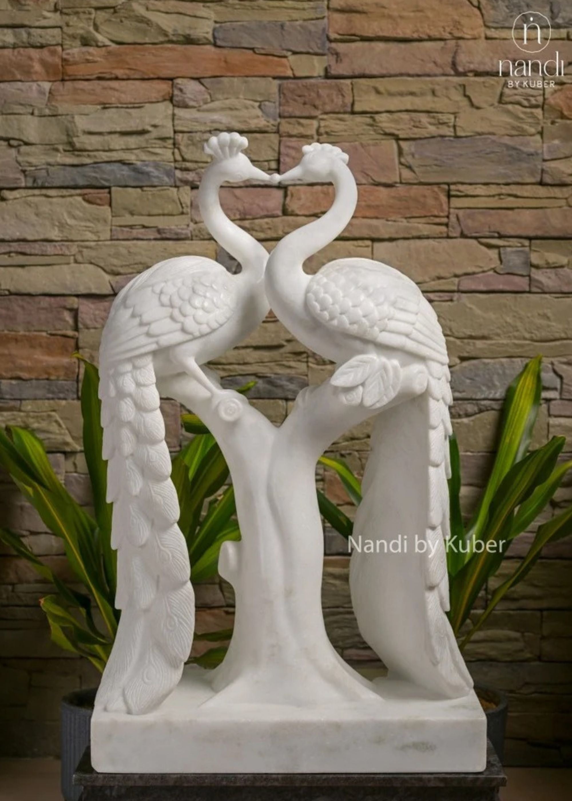 Marble Peacock