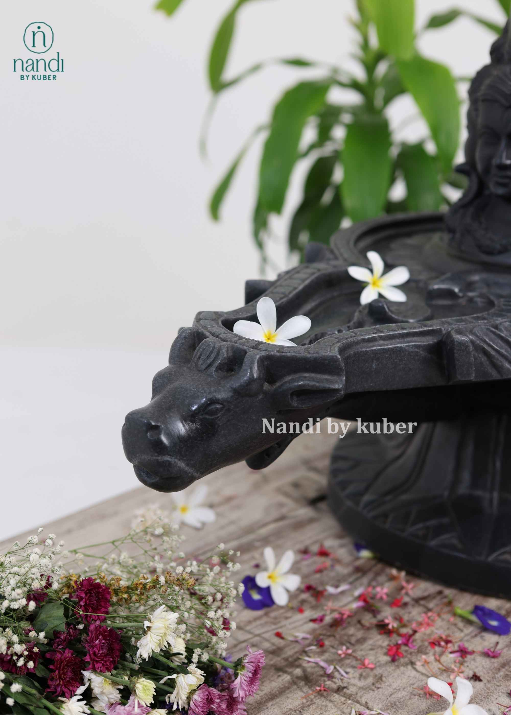 Black Marble Shivling - detail view