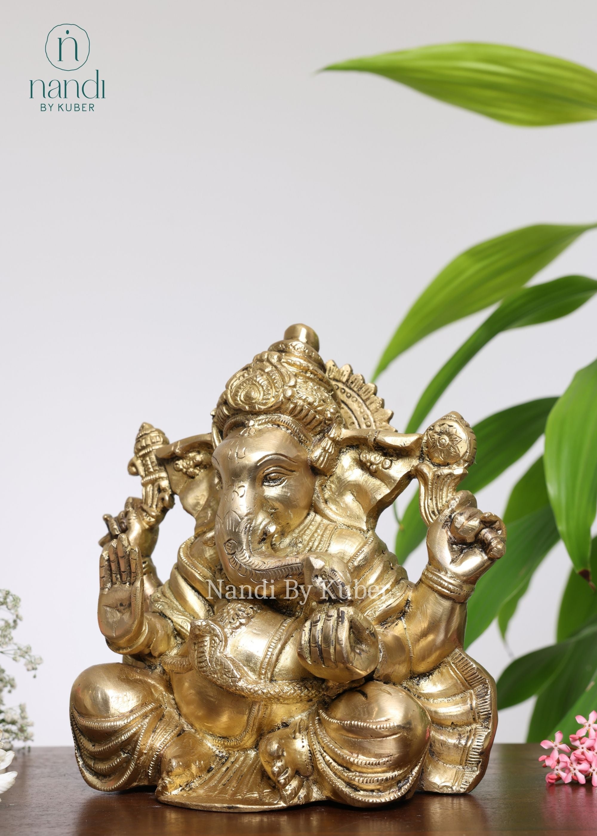 Brass Ganesha Mukut Appu - detail view